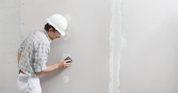 Best Drywall Removal and Disposal  in Bemidji, MN