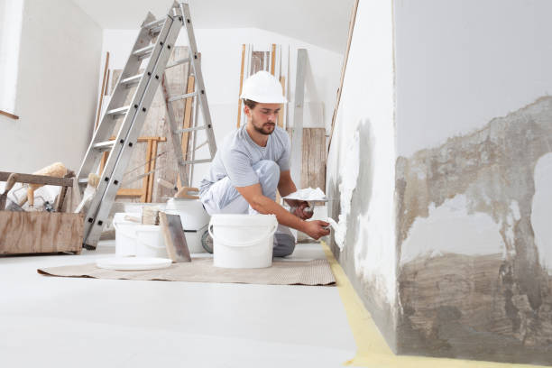 Best Painting for New Construction  in Bemidji, MN